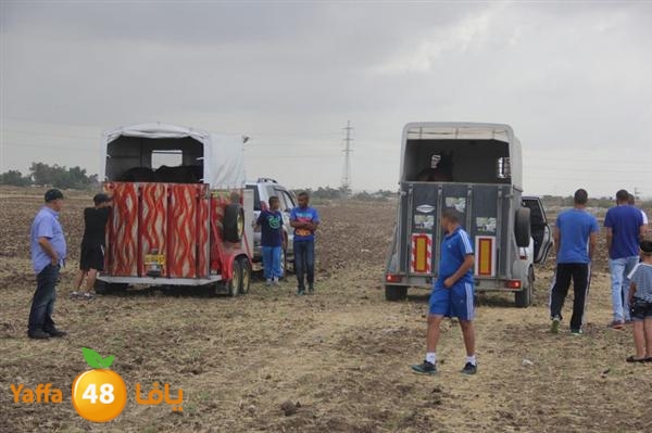 khoyoul lud 0610 (51).JPG